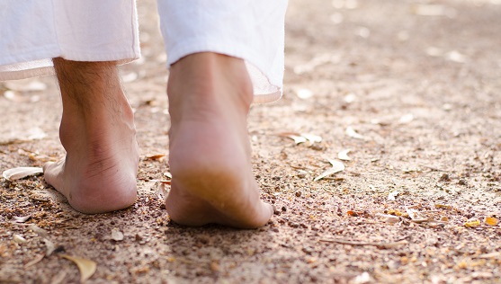 Theosophical Society - Masters, gurus, and disciples. Explore the Theosophical teachings about the concept of Masters of Wisdom.