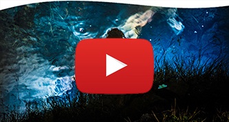 Dreams Dialogues and Divided Attendion with Gwynne Mayer 1.31 2026