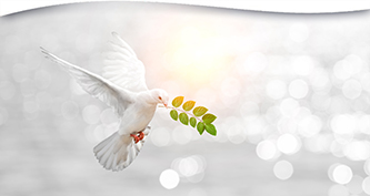 Meditation for World Peace