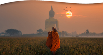 The Way of the Buddha: Exploring His Teachings and Legacy